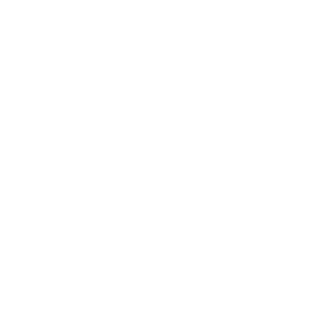 Electrical services icon.